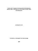 Novel III v mosfet integrated with high k dielectric and metal gate for future CMOS technology 