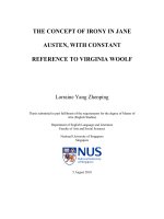 The concept of irony in jane austen, with constant reference to virginia woolf 