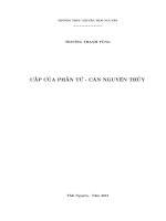 CẤP của PHẦN tử   căn NGUYÊN THỦY 
