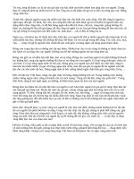 Suy nghĩ về vai trò của rừng và việc bảo vệ rừng