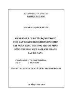 Kiểm soát rủi ro tín dụng trong cho vay khách hàng doanh nghiệp tại ngân hàng TMCP công thương việt nam, chi nhánh bắc đà nẵng 