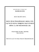 luận văn thạc sĩ quản trị kinh doanh phân tích tình hình huy động vốn tại ngân hàng thương mại cổ phần đông á chi nhánh đắk lắk