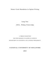 Monte carlo simulation in option pricing 