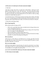 Lý thuyết xếp hạng tín dụng DN