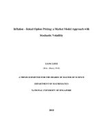 Inflation   linked option pricing a market model approach wtih stochastic volatility 