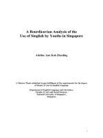A bourdieuvian analysis of the use of singlish by youths in singapore 