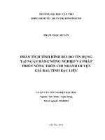 phân tích tình hình rủi ro tín dụng tại ngân hàng nông nghiệp và phát triển nông thôn chi nhánh huyện giá rai, tỉnh bạc liêu