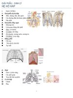 GIẢI PHẪU sinh lý hệ  hô hấp
