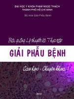 Bài Giảng Giải Phẫu Bệnh Cao Học