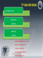 thuyết trình tỷ giá hối đoái