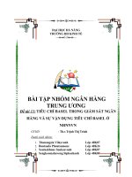 NGUYÊN tắc BASEL và THỰC TRẠNG ở VIỆT NAM