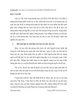 Chuyên đề các cuộc cải cách duy tân cuối thế kỉ XIX đầu thế kỉ XX 