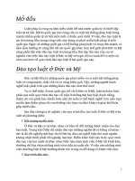 So sánh hệ thống pháp luật Đức và Mỹ