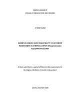 essential amino acid digestibility of different ingredients in striped catfish (pangasianodon hypophthalmus) diet