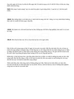 Nhật ký 10 ngày lowcarb: Tạm biệt 3kg mỡ thừa