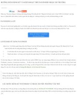 Hướng dẫn đăng ký và kích hoạt thẻ payoneer