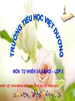 Bài mặt TRỜI  TNXH lớp 3