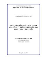 phân tích năng lực cạnh tranh của công ty trách nhiệm hữu hạn thực phẩm việt á châu