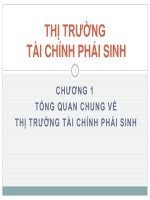 Chương 1 Thị trường tài chính phái sinh