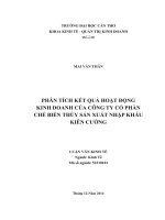 phân tích kết quả hoạt động kinh doanh của công ty cổ phần chế biến thủy sản xuất nhập khẩu kiên cường