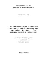 phân tích hoạt động kinh doanh của công ty trách nhiệm hữu hạn một thành viên công ty công trình đô thị thành phố cần thơ