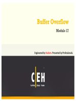 Tài Liệu Hacker Dịch Buffer Overflow