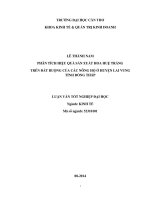 phân tích hiệu quả sản xuất hoa huệ trắng trên đất ruộng của các nông hộ ở huyện lai vung tỉnh đồng tháp
