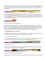 Mẹo tự nhiên đuổi ruồi giấm tránh xa hoa quả trong nhà