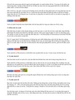 Mẹo vệ sinh bể cá cảnh sạch và đẹp