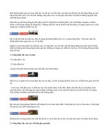 Bí quyết vệ sinh nội thất da siêu sạch