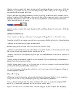 Điều hòa cây: Chọn và sử dụng thế nào cho hợp lý?