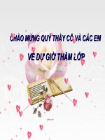 XÃ HỘI VIỆT NAM  TRONG CUỘC KHAI THÁC LẦN THỨ NHẤT  CỦA THỰC DÂN PHÁP