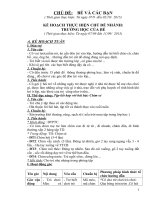 GIÁO án mầm NON năm 2015 CHỦ đề bé và các bạn 