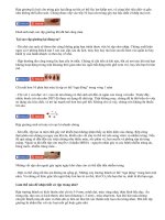 Bí quyết tiêu diệt rệp giường không dùng hóa chất