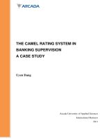 THE CAMEL RATING SYSTEM IN BANKING SUPERVISION a CASE STUDY