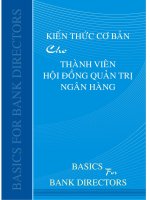 BASICS FOR BANK DIRECTORS SONG NGỮ ANH VIỆT PHÂN TÍCH CAMELS