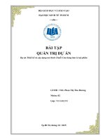 Tiểu luận môn quản trị dự án dự án thiết kế và xây dựng mô hình chuỗi cửa hàng bán lẻ mỹ phẩm 