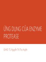 Ứng dụng của enzyme protease