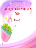 bài thuyết trình nhập môn TCDN nhóm 8 