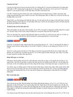 Cách bảo vệ bản thân khỏi ung thư da trong mùa hè