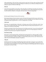 Điều gì sẽ xảy ra khi bạn bỏ bữa sáng?