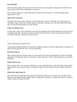 Bàn chân và các dấu hiệu bệnh tật