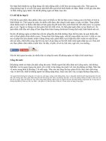 Thói quen ăn uống và bệnh sỏi thận