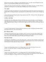 Những kết hợp củ, quả với thực phẩm khác có hại cho sức khỏe