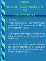 CHƯƠNG II các CHẾ độ làm VIỆC của điểm TRUNG TÍNH TRONG hệ THỐNG điện