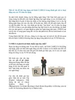 Một số vấn đề khi ứng dụng mô hình CAMELS trong đánh giá rủi ro hoạt động của các tổ chức tín dụng