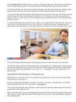 Phòng chữa bệnh đường ruột