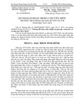 Kế hoạch chuyên môn của PHT THCS 15 16 in luôn