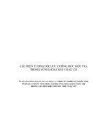 Các hiện tượng đối lưu và cưỡng bức một pha trong lò phản ứng hạt nhân