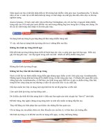 Bị ký sinh trùng ăn mòn giác mạc vì dùng kính áp tròng